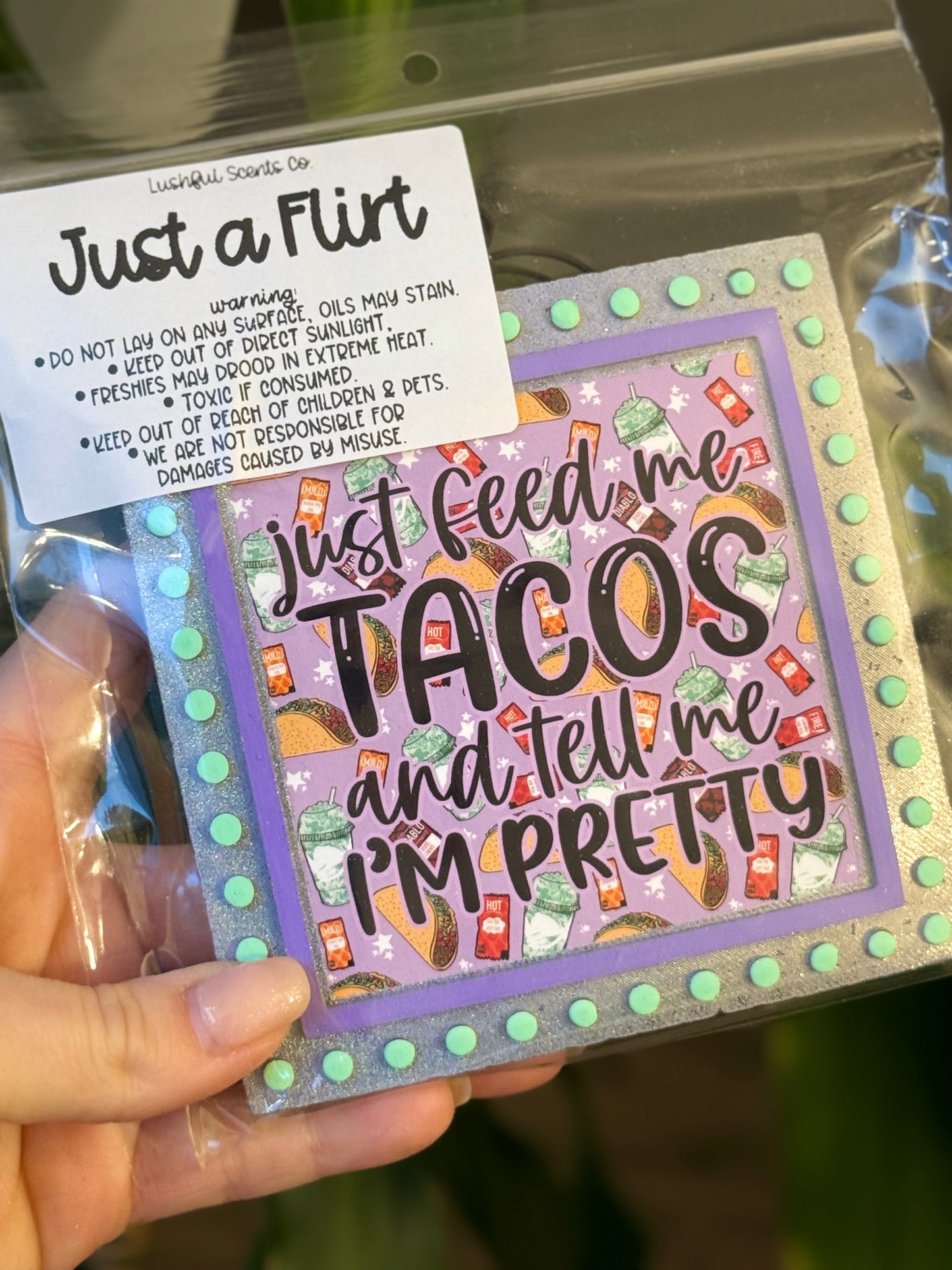 Just feed me tacos and tell me I’m pretty- Just a Flirt