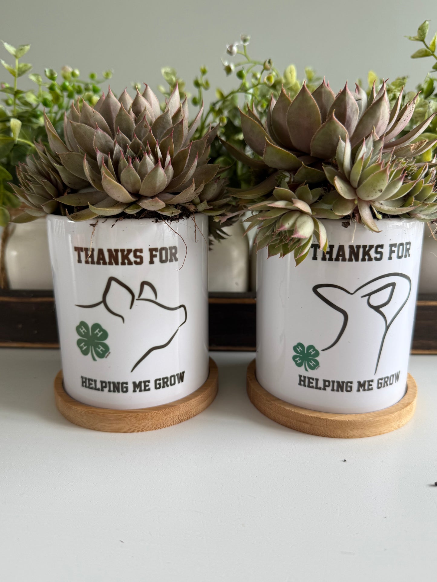 Custom Planter Pot