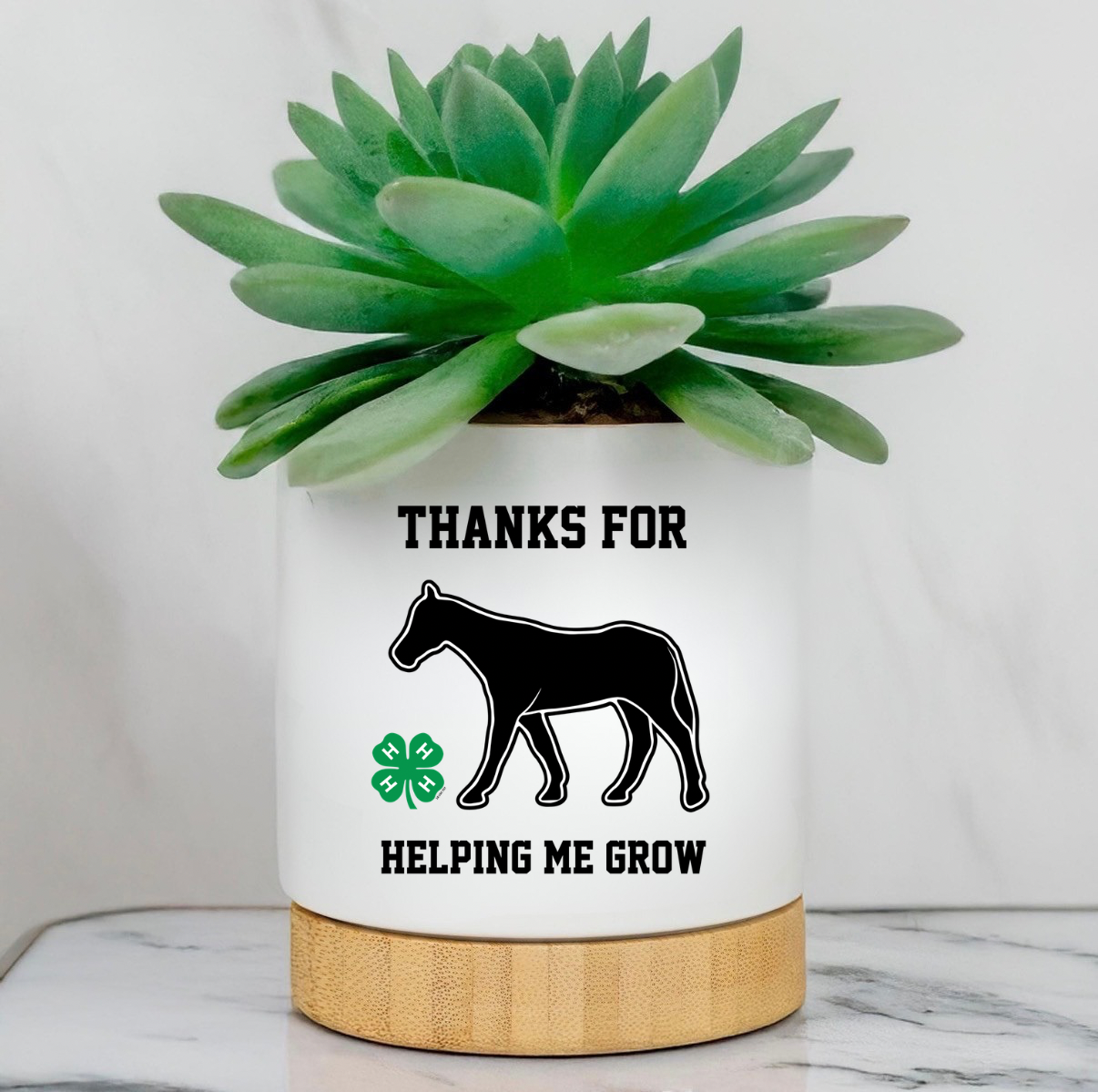 Custom Planter Pot