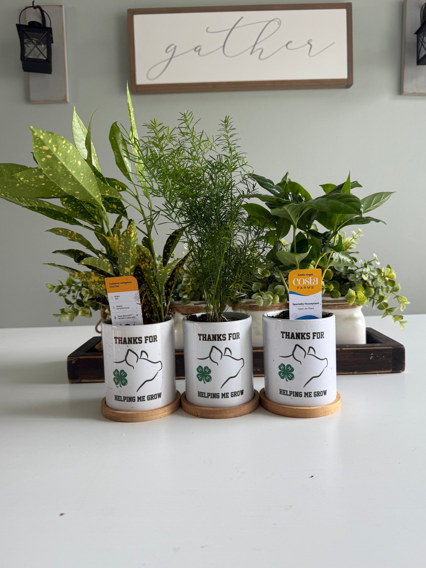 Custom Planter Pot