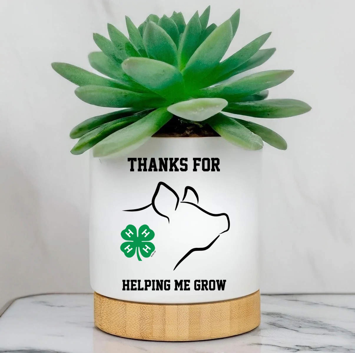 Custom Planter Pot