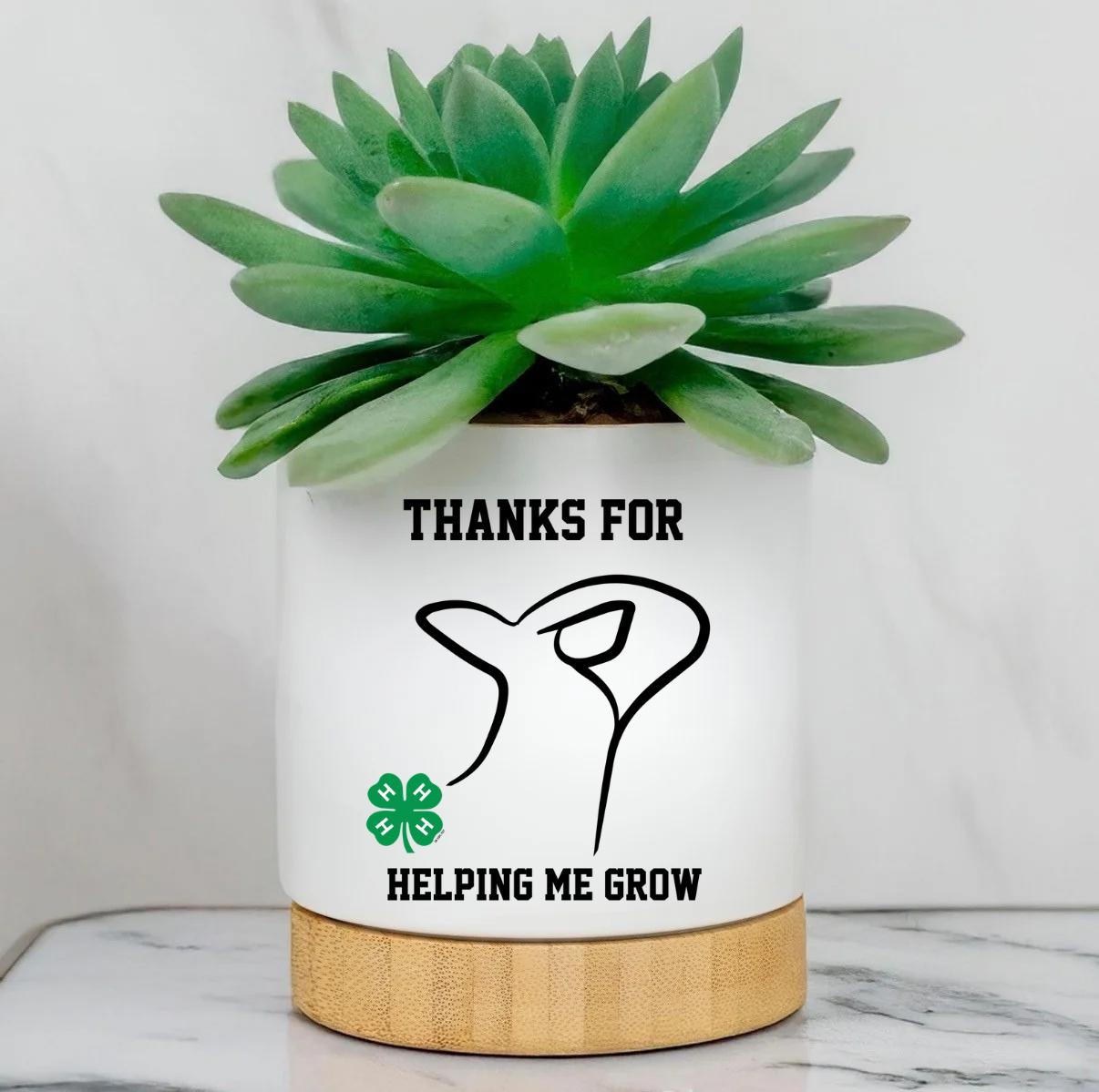 Custom Planter Pot