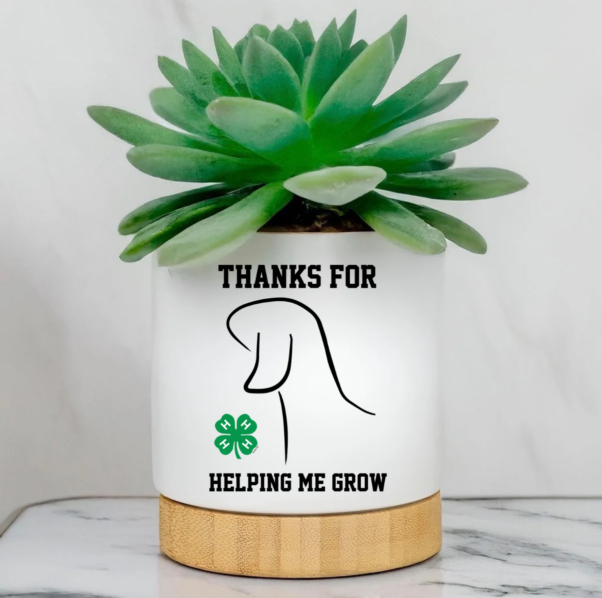 Custom Planter Pot