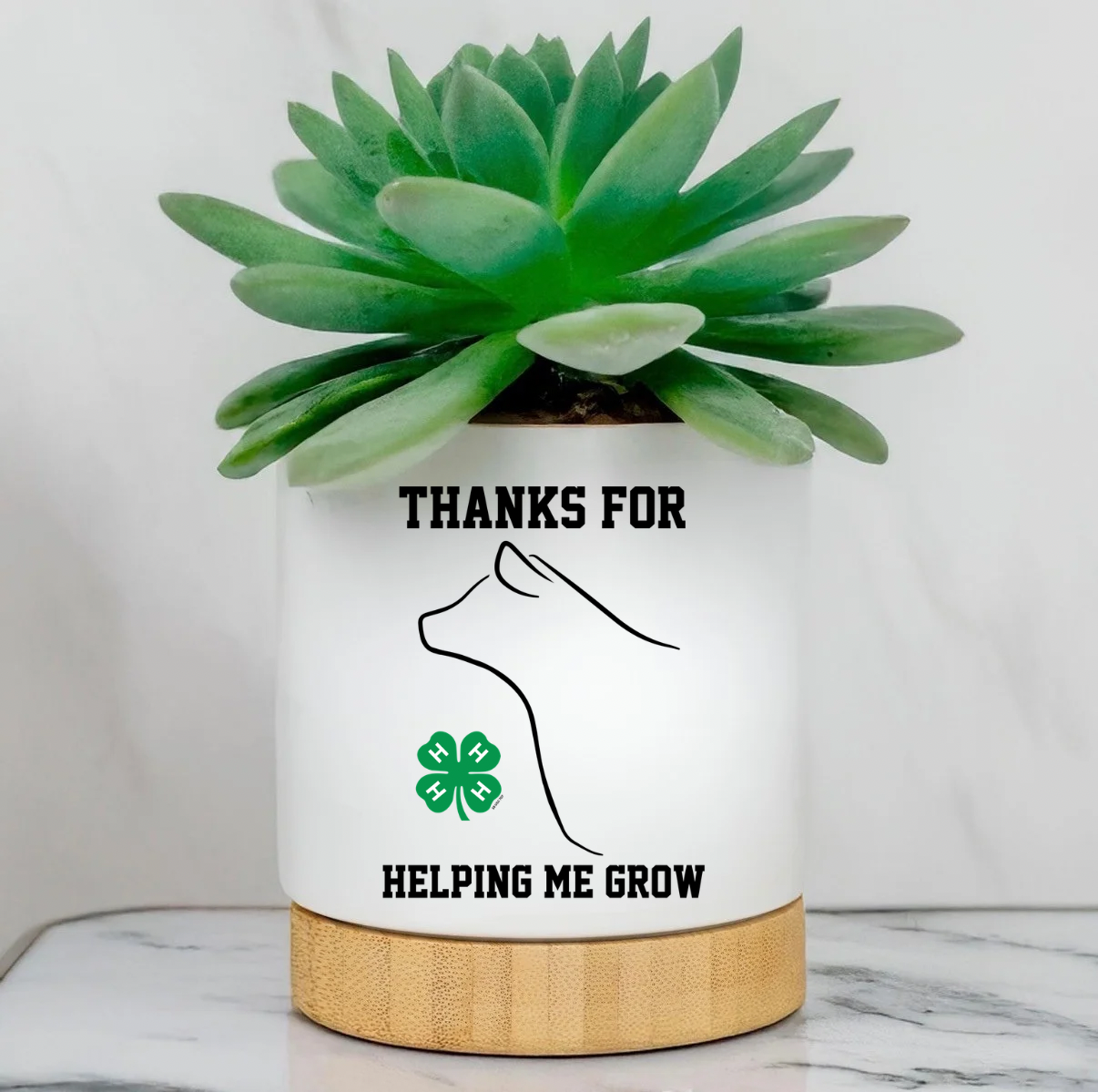 Custom Planter Pot