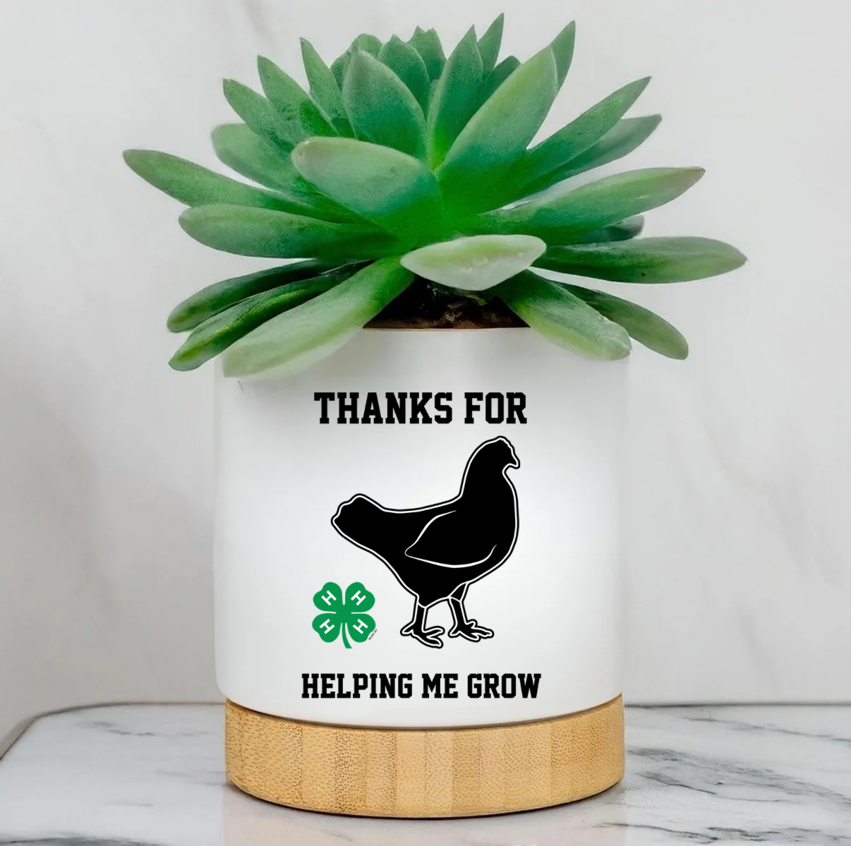 Custom Planter Pot