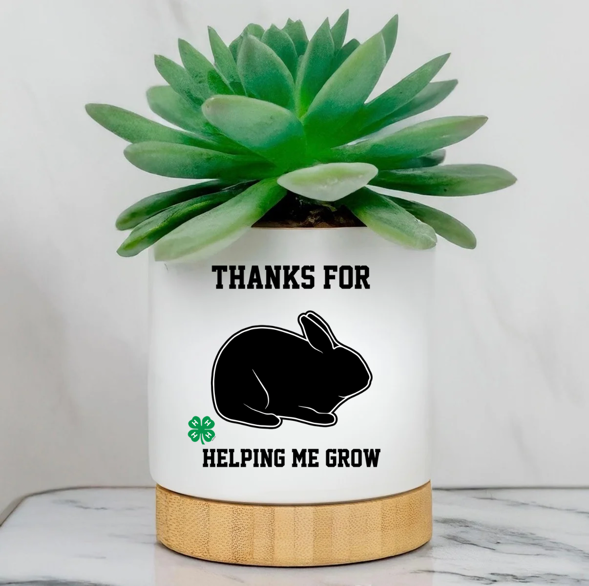 Custom Planter Pot